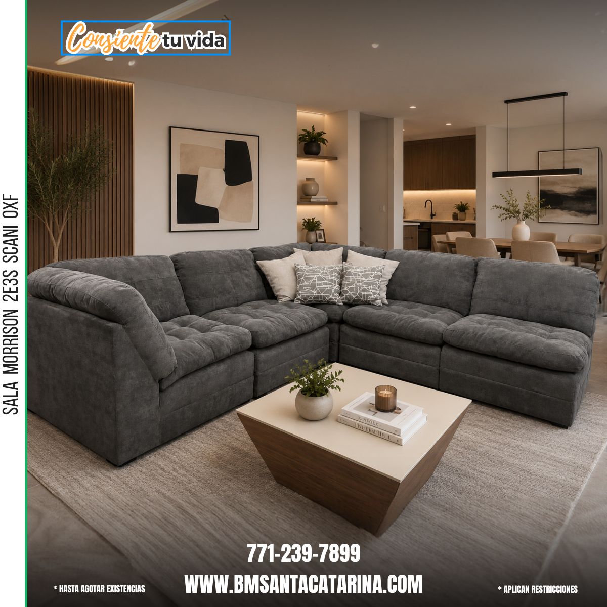 SALA MORRISON 2E3S SCANI OXF